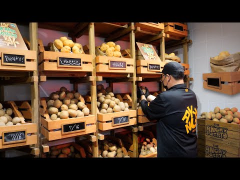 이게 리얼 감튀의 끝판왕이지! 하루 100kg 완판, 9가지 소스 무한리필 토핑 폭탄 / Real French Fries / Korean street food