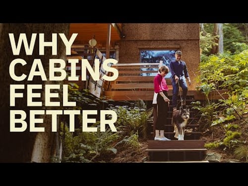 Why Cabin Design Works in Every Home