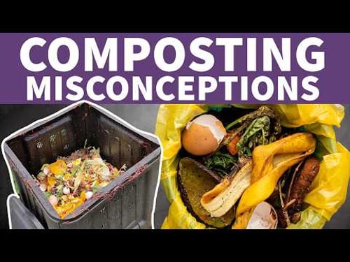 Debunking Compost Misconceptions