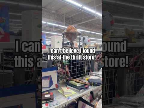 My Dream Thrift Find! #thrifting #thriftfinds #vintagefinds