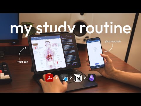 the exact asian study routine that got me straight A's in school.