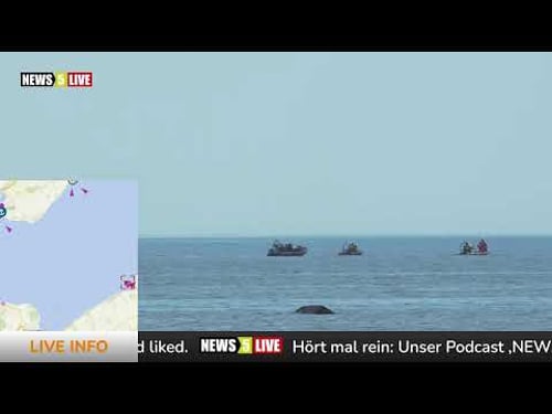 LIVE: Wo ist Buckelwal "Hope"? - Tag 5 - Wal konnte sich selber befreien