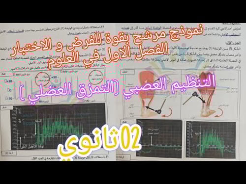 مقترح بقوة للفرض و الاختبار الفصل الاول في العلوم الطبيعية للسنة 02ثانوي (التنظيم العصبي )