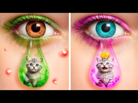 Лайфхаки для владельцев животных! Мы спасли бездомного котенка!