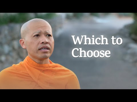 Take Action or Let Life Unfold? | A Monk's Perspective