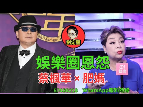 娛樂圈恩怨:蔡楓華 × 肥媽。娛圈趣系列41