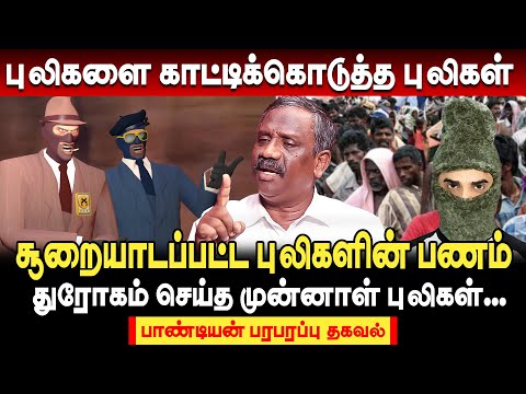 சூறையாடப்பட்ட புலிகளின் பணம்! புலிகளை காட்டிக்கொடுத்த புலிகளின் கதை | journalist pandian interview