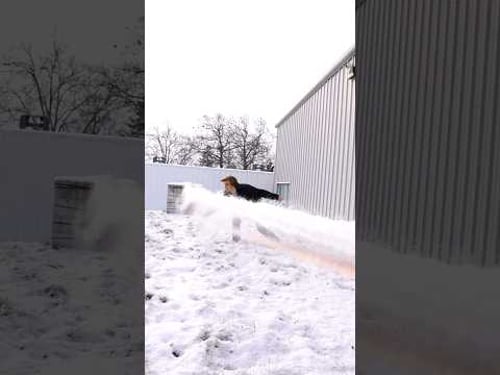 Snow covered line meets Thor hammer 😮💨🥳❄️ #snow #winter #christmas #satisfying