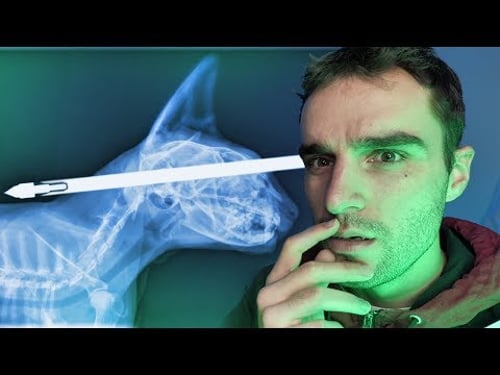 Les pires trucs retrouvés dans un corps ! #3