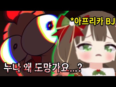 스트리머서버에서 누나 쫓아가는 스트리머