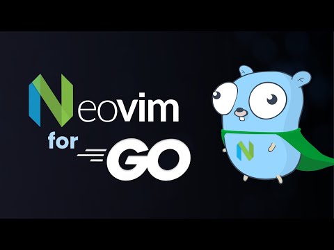 The perfect Neovim setup for Go