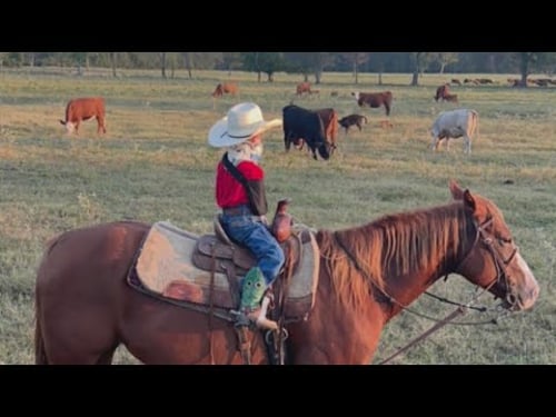 Five-year-old Arkansas boy Bo Henry overcomes devastating injuries to pursue dream of being a cowboy