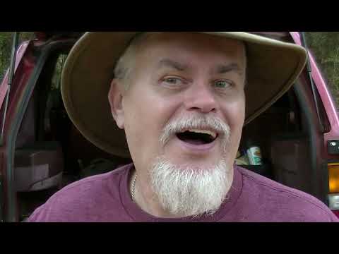 SOLD OUT BLACKBIRDS ARE SOLD OUT