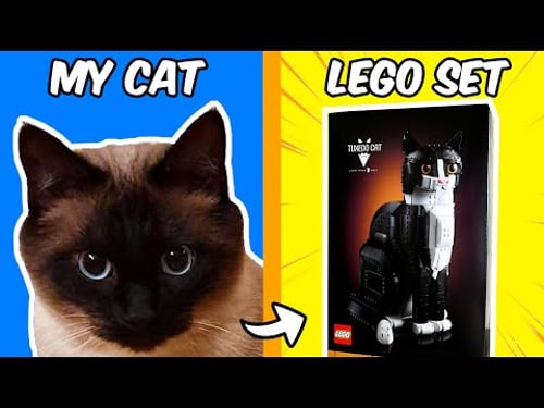 How my cat became a WORLDWIDE LEGO Set?