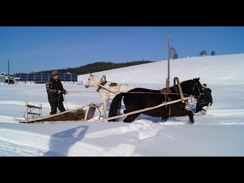 Челканцы. Экспедиция в отдаленный район Алтая, где нет связи, а свет от дизеля и солнечных батарей