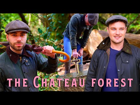 Explore This Hidden Gem: A Castle Park and Forest in the Heart of France