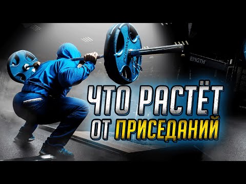 ЧТО РАСТЁТ ОТ ПРИСЕДАНИЙ СО ШТАНГОЙ