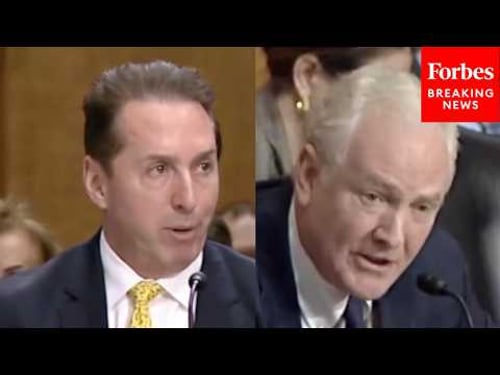 Van Hollen Asks Trump Nom Point Blank If He Thinks Renee Good, Alex Pretti Were Domestic Terrorists