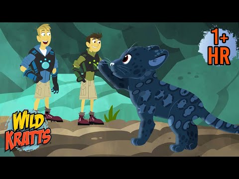 THE BLACK JAGUAR | Full Episodes | Wild Kratts | 9 Story Kids
