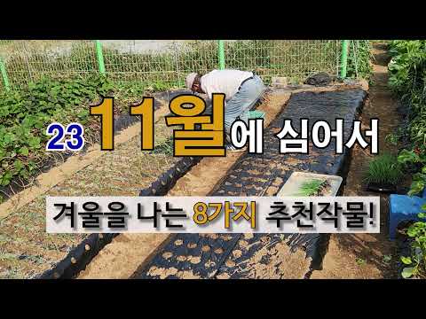 8 recommended crops to plant in November and survive the winter! #WeekendFarmUrbanGarden #CropsTo...