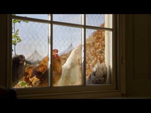 A Perfect Winter Morning