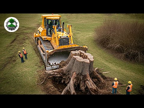 Jaw-Dropping Fastest Big Chainsaw Cutting Tree Machines | Monster Stump Removal Bulldozer #3