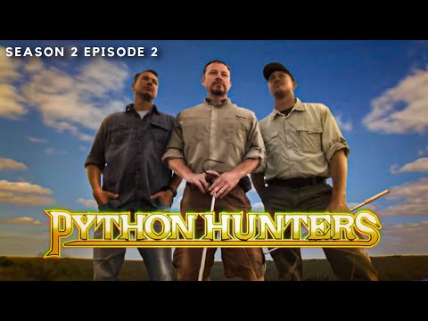 Battling Invasive Species in Florida's Everglades | Lizards Gone WILD! | Python Hunters