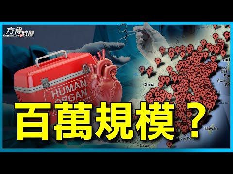 器官移植真相之二:中国的活摘器官的规模到底有多大【方偉時間05062023】