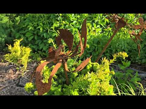 Прогулка по саду. 16 июня