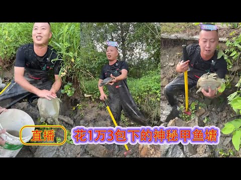 花1万3包下的神秘甲鱼塘,把水抽干的时候,没想到里面的货简直不敢想象..... 【在养殖场安全,请大家不要模仿】