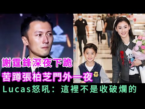 謝霆鋒最大敗筆|失去王菲後悔莫及,兒子一句話戳破真相