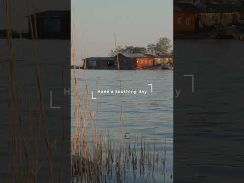 Welcome to Soothing Relaxation π Have a Soothing Day! π