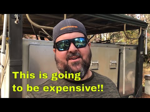 We Removed Her Bees But Found Something Worse