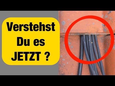 The TRUTH about SOLAR CABLES! Proofwood