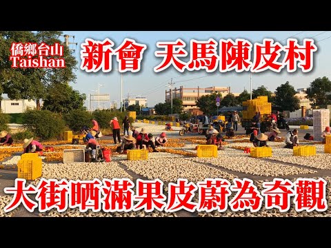 A stroll through Tianma Village, the core production area of Chenpi (dried tangerine peel) in X...