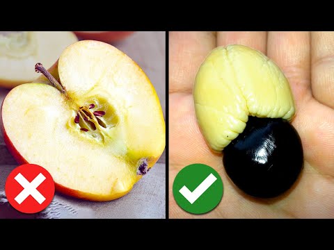 Most HARMFUL Foods People Keep EATING