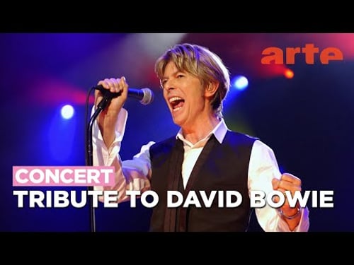 Tribute to David Bowie : Anna Calvi, La Roux, The Horrors, The Divine Comedy... - ARTE Concert