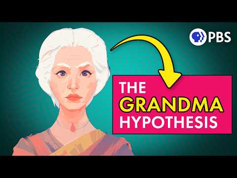 Why Your Grandmother Is an Evolutionary Mystery