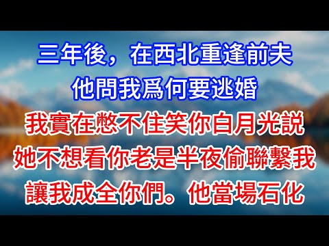 【完結】三年後,在西北重逢前夫,他問我爲何要逃婚?我實在憋不住笑:你白月光説,她不想看你老是半夜偷聯繫我,讓我成全你們。他當場石化 #為人處世 #生活經驗 #情感故事 #故事 #小說 #戀愛 #情感