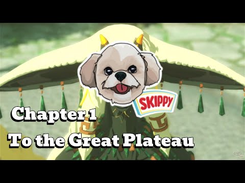 Hyrule Warriors Age of Imprisonment: Chapter 1 - To the Great Plateau | Full Story Gameplay