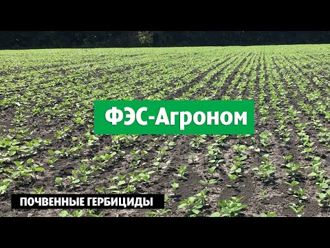 Почвенные гербициды