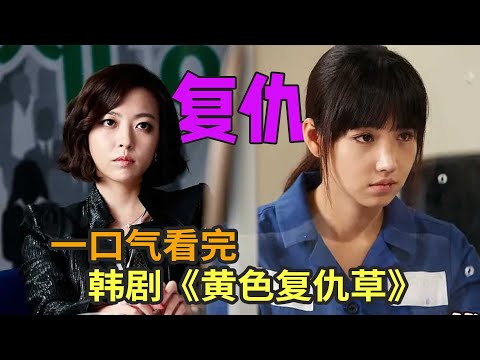 女孩背负冤屈走上复仇之路,韩剧《黄色复仇草》一口气看完