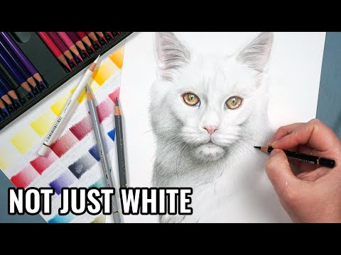How to Draw White Fur with Colored Pencils (Step by Step Tutorial)