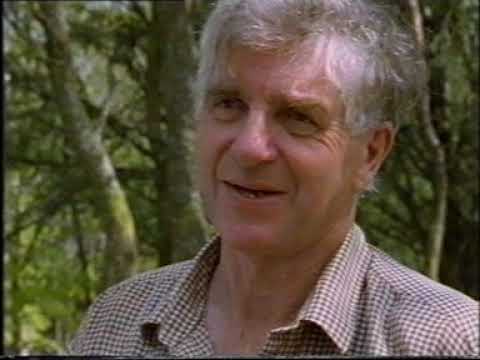 Coppice management and charcoal making with the late Bill Hogarth