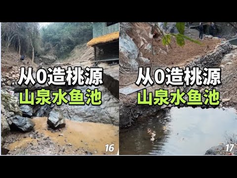 这次养鱼是成功了,信心十足~ #三农 #山里生活 #山泉水鱼池 #鱼池