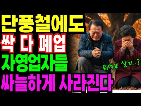 단풍철에도 90%폐업.. 모두 사라지고 내 노후자금도 빛의속도로 사라졌습니다.. |노후사연|오디오북|노후생활