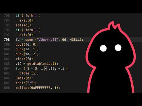 Innocent Looking Backdoor Found in Universities and Government Systems