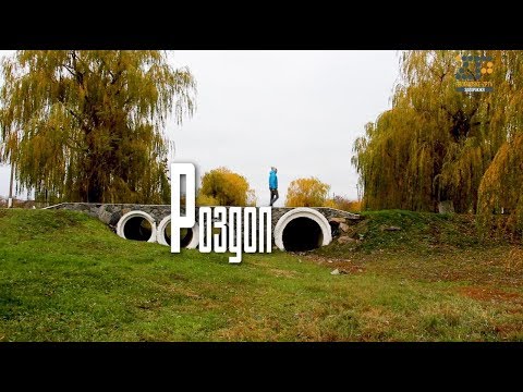 Село, в якому немає безробіття, є чистота і страуси/СелоVIE/Роздол