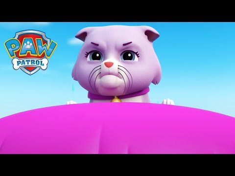 猫与狗 - PAW Patrol 汪汪隊立大功 - 兒童卡通