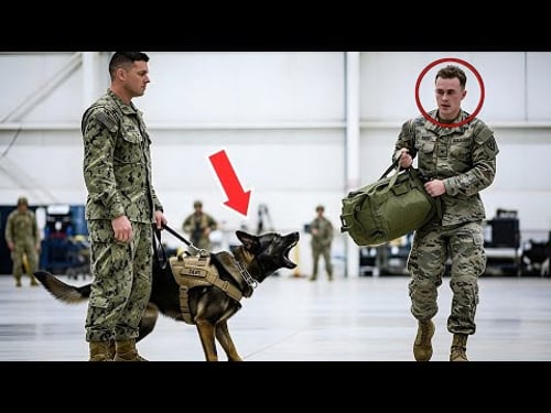 His Police Dog Wouldn't Stop Barking at a Soldier's Bag — What Happened Next Shocked Everyone!